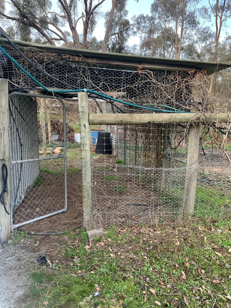 Additional image 21 of 10 Caldwell Street, Heathcote VIC 3523