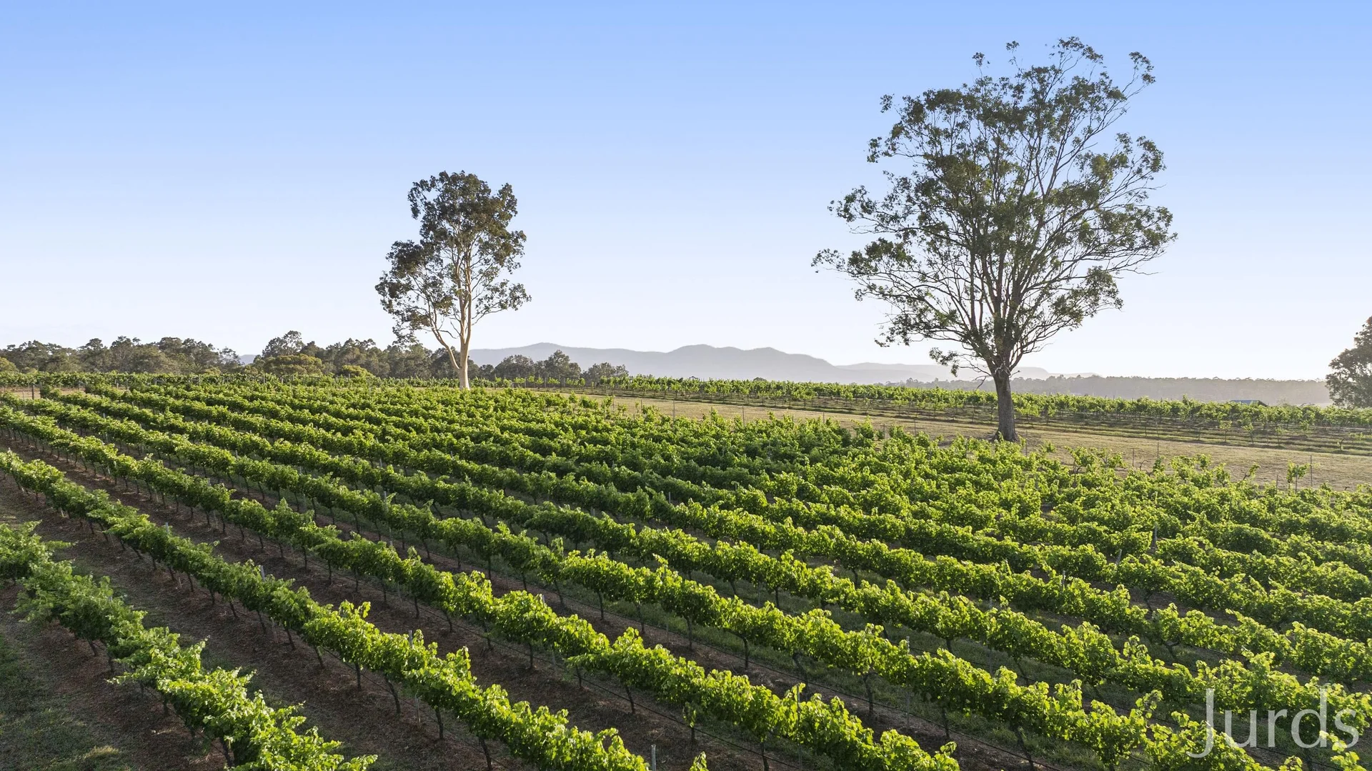 Additional image 43 of 110 Old North Road, Pokolbin NSW 2320