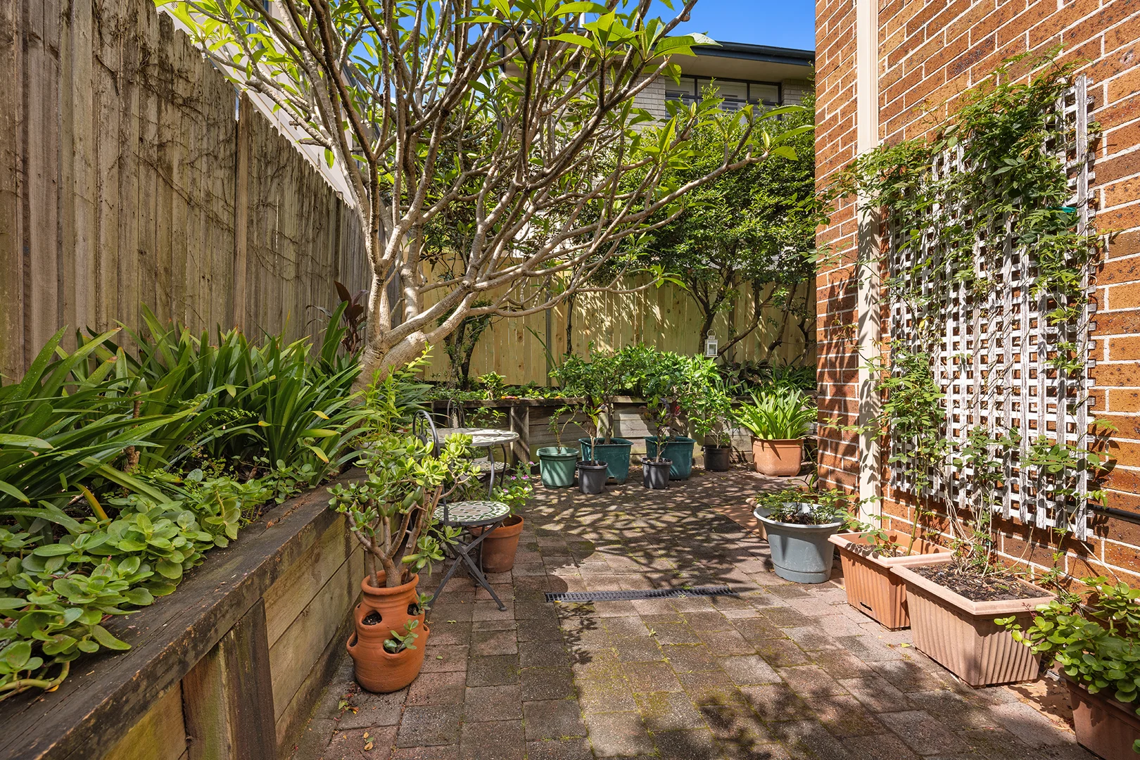 Additional image 5 of 8/27 Merlin Street, Neutral Bay NSW 2089