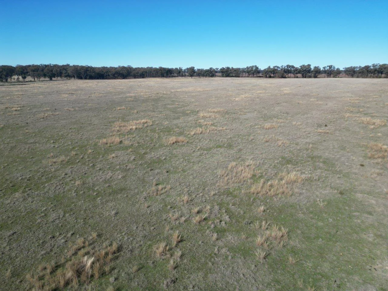 Additional image 7 of 977 Schmidts Road, Temora NSW 2666
