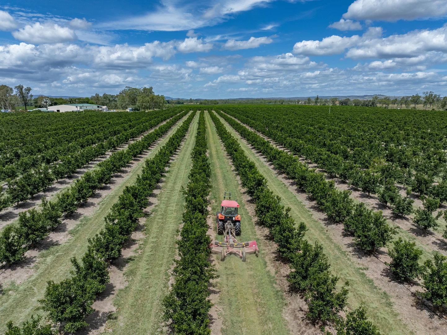 Additional image 4 of 100 Sandersons Lane, Mundubbera QLD 4626