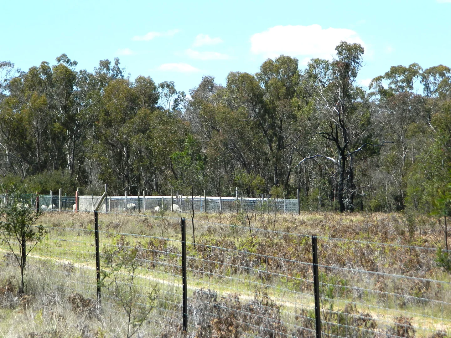 Additional image 35 of 485 Reedy Creek Road, Rylstone NSW 2849