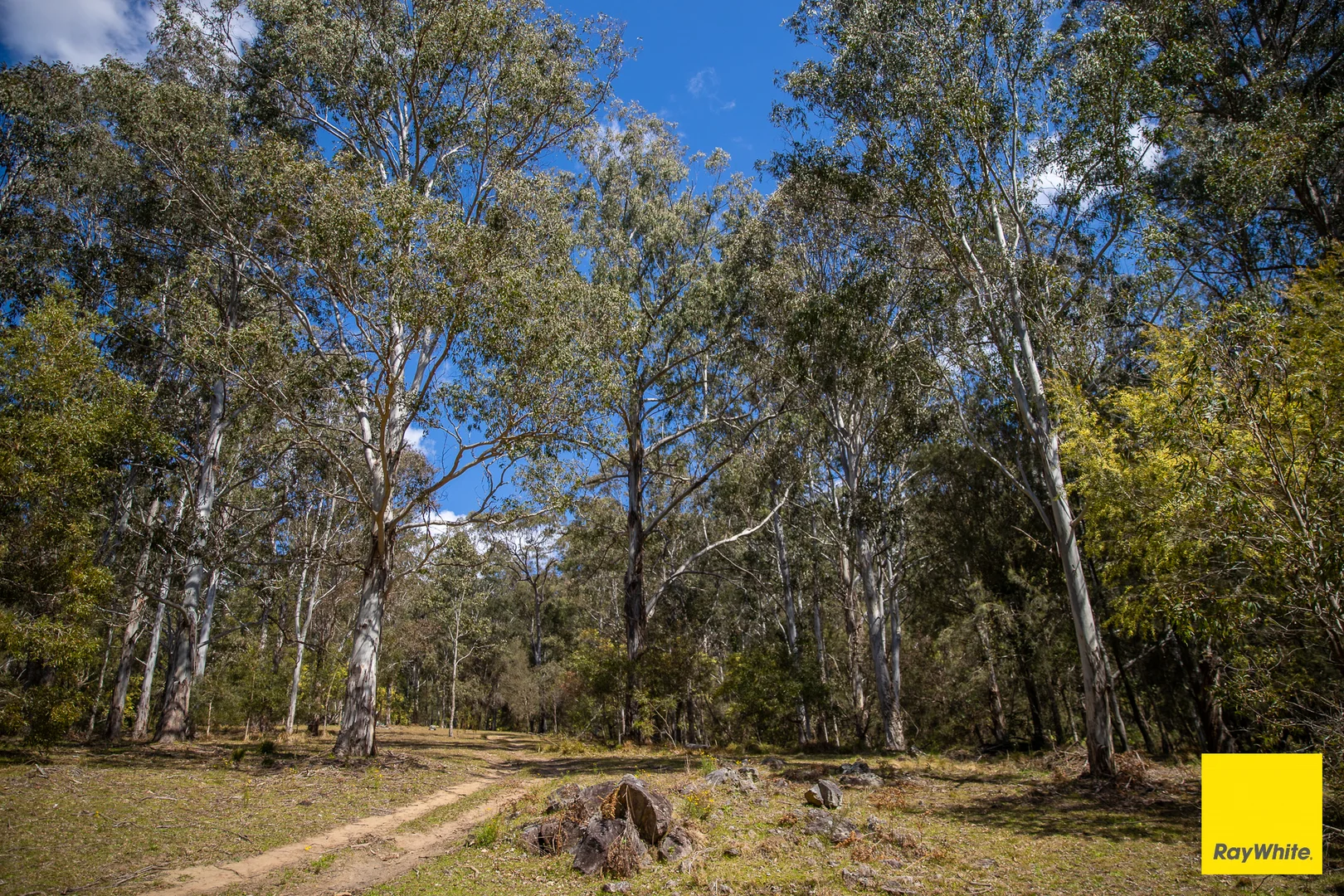 Additional image 15 of 8284 Armidale Road, Dorrigo NSW 2453