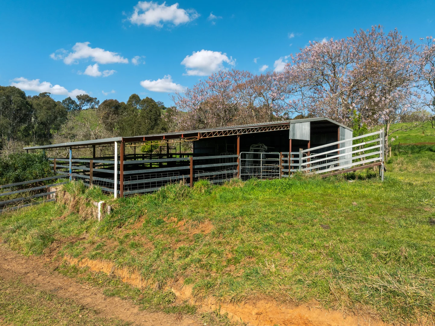 Additional image 14 of 315 Davies Road, Warrenbayne VIC 3670