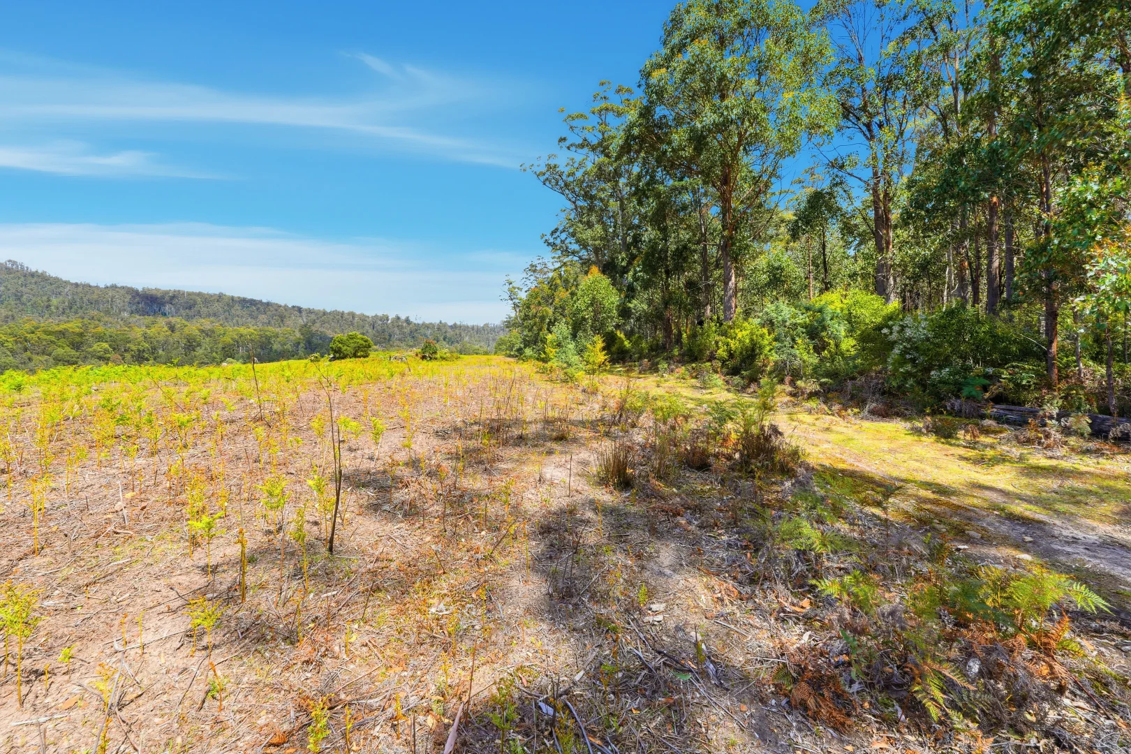 Additional image 13 of 319 Yearsley Road, Broadmarsh TAS 7030