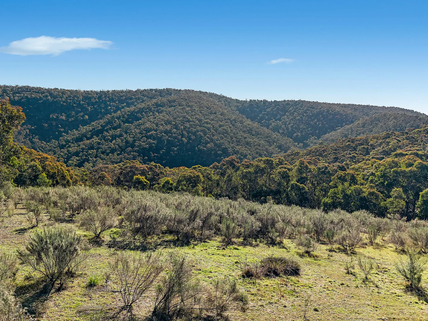 Additional image 7 of 94 Oakey Forest Road, Lithgow NSW 2790