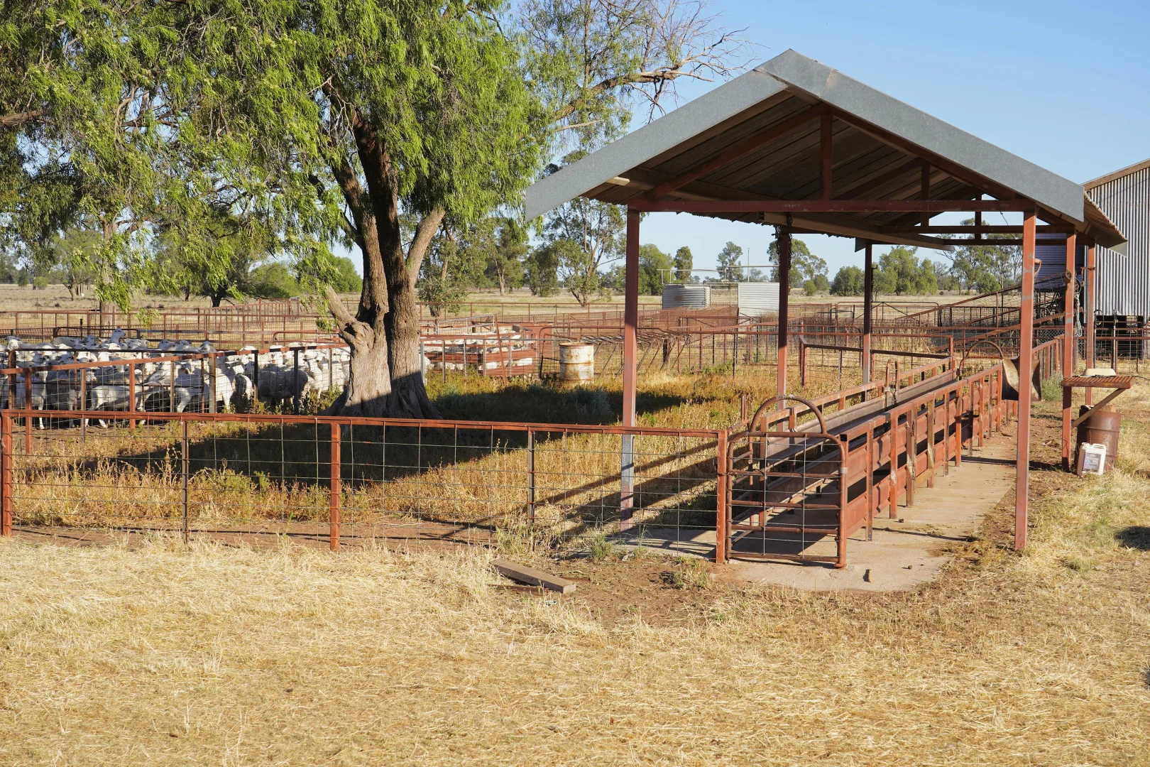 Additional image 28 of Buddabadah NSW 2825