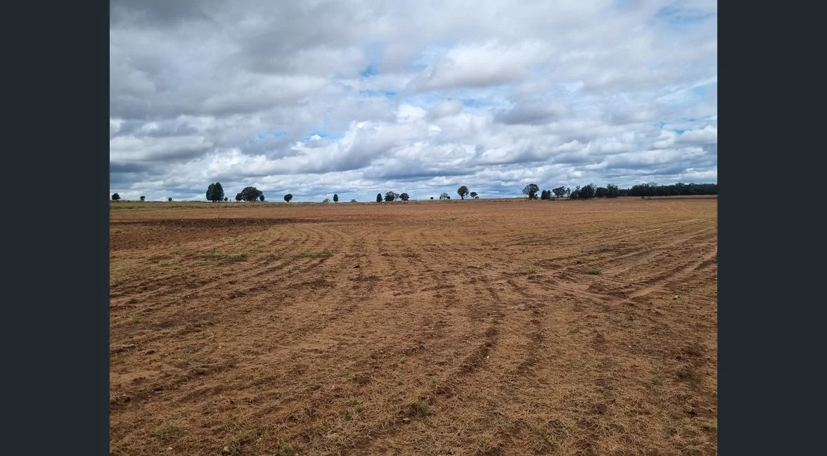 Additional image 5 of Tooraweenah NSW 2817