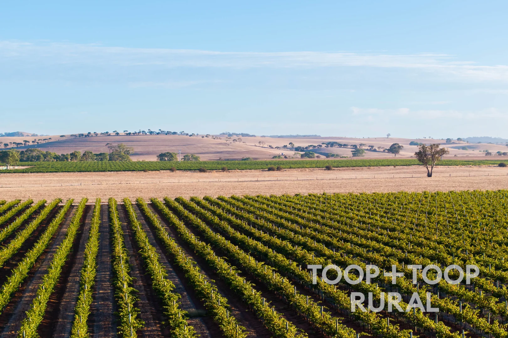 Additional image 13 of 1404 Research Road, Ebenezer SA 5355