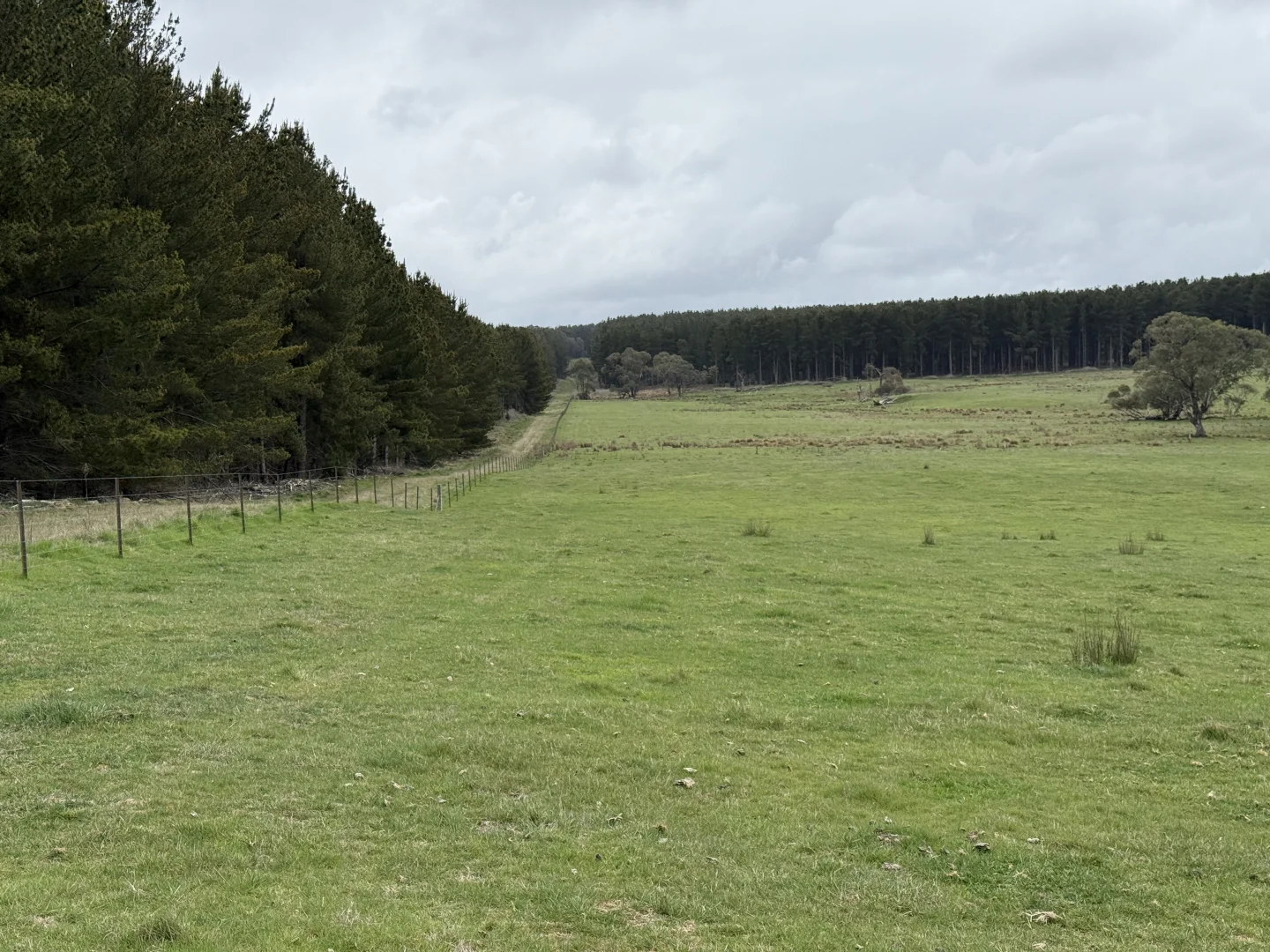 Additional image 9 of Lot 13 Rosewood Hills Road, Tumbarumba NSW 2653