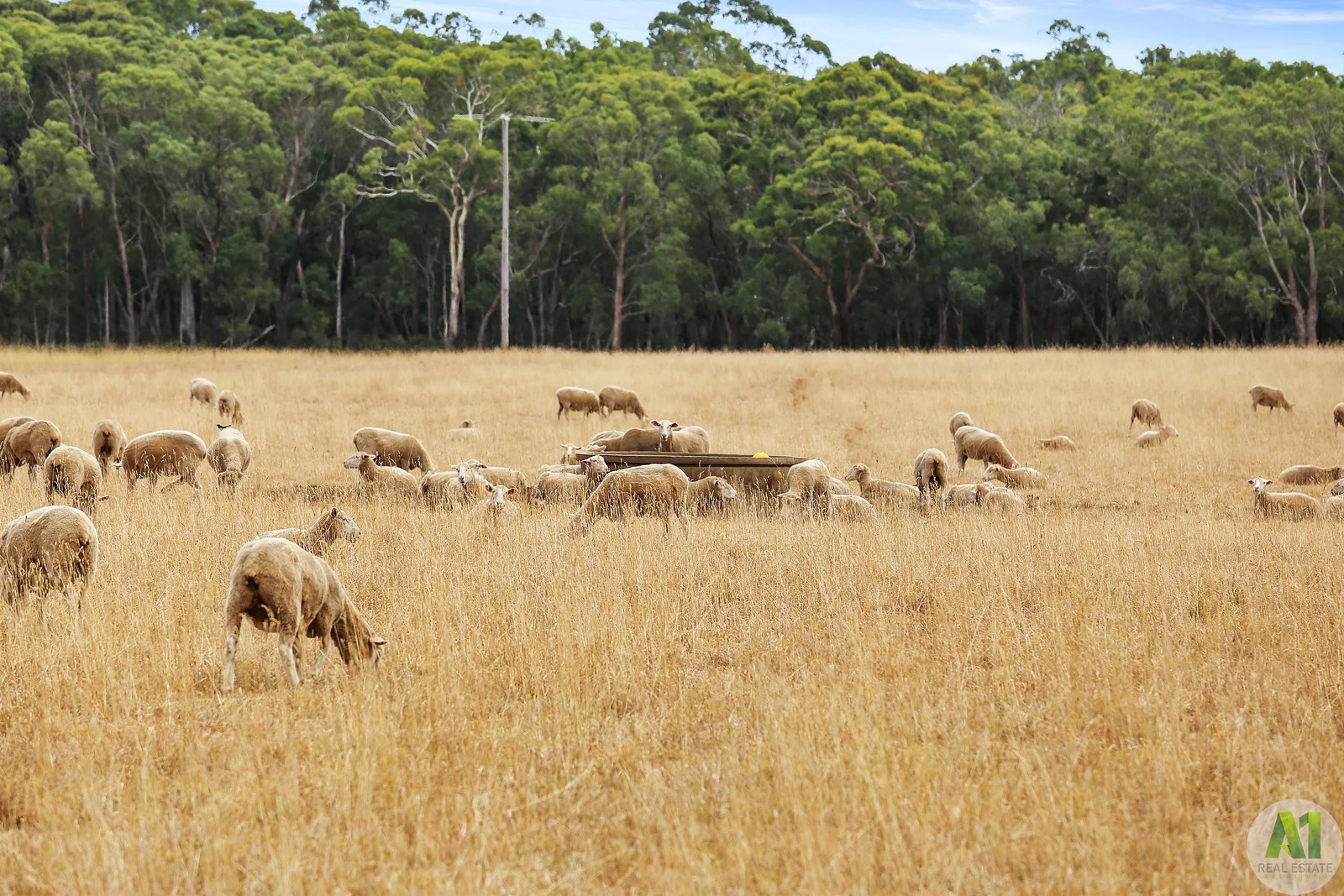 Additional image 14 of 1322 Gorae Road, Gorae West VIC 3305