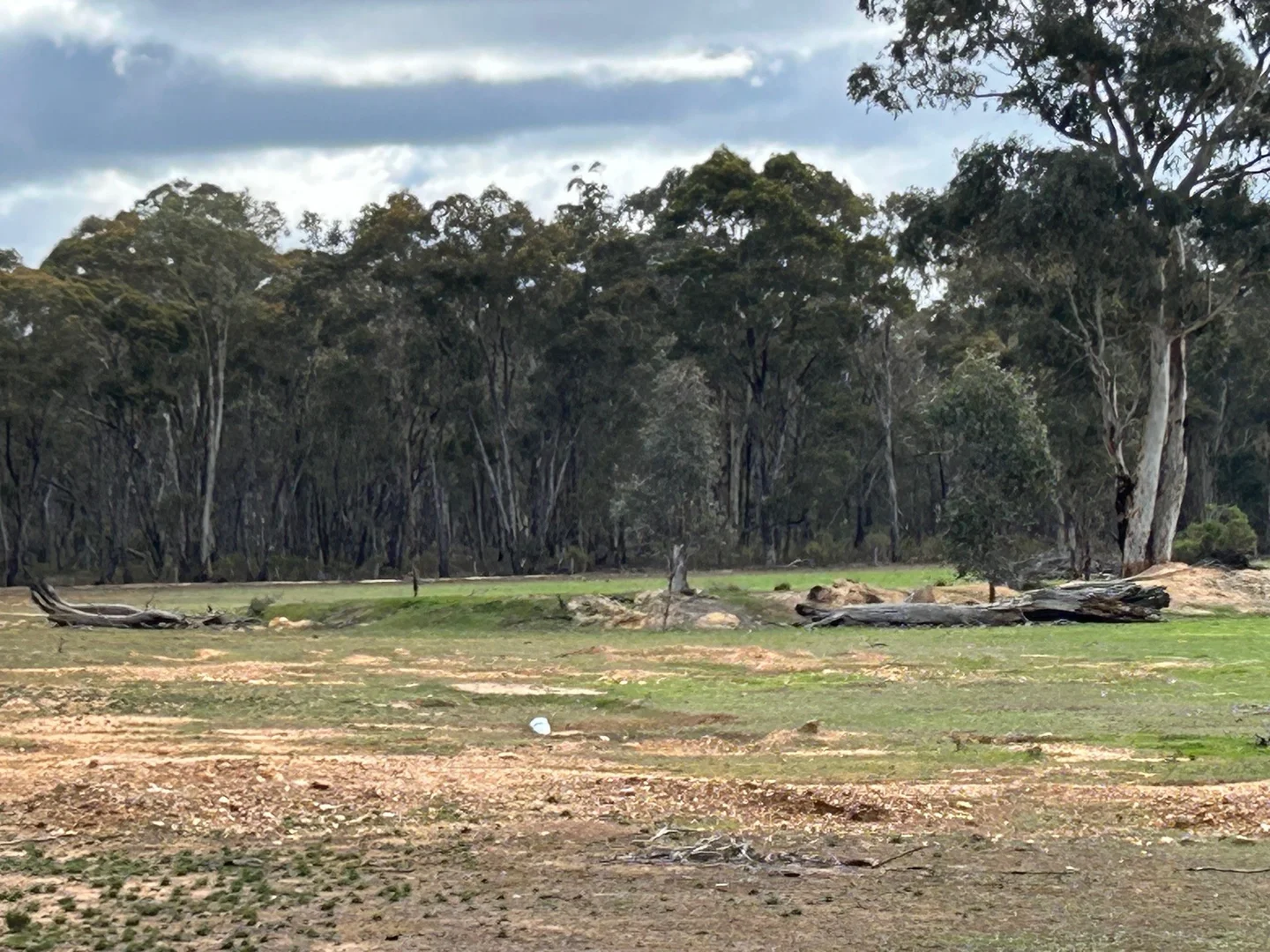 Additional image 5 of 104 Parkers Road, Moliagul VIC 3472