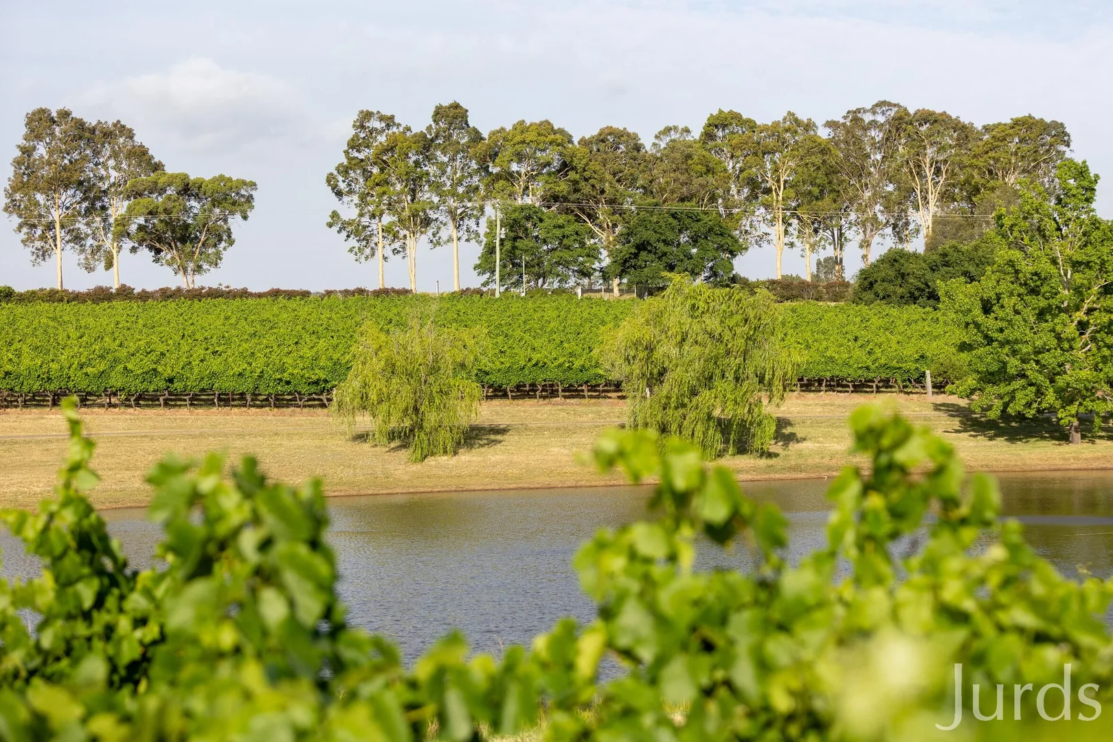 Additional image 9 of 110 Old North Road, Pokolbin NSW 2320