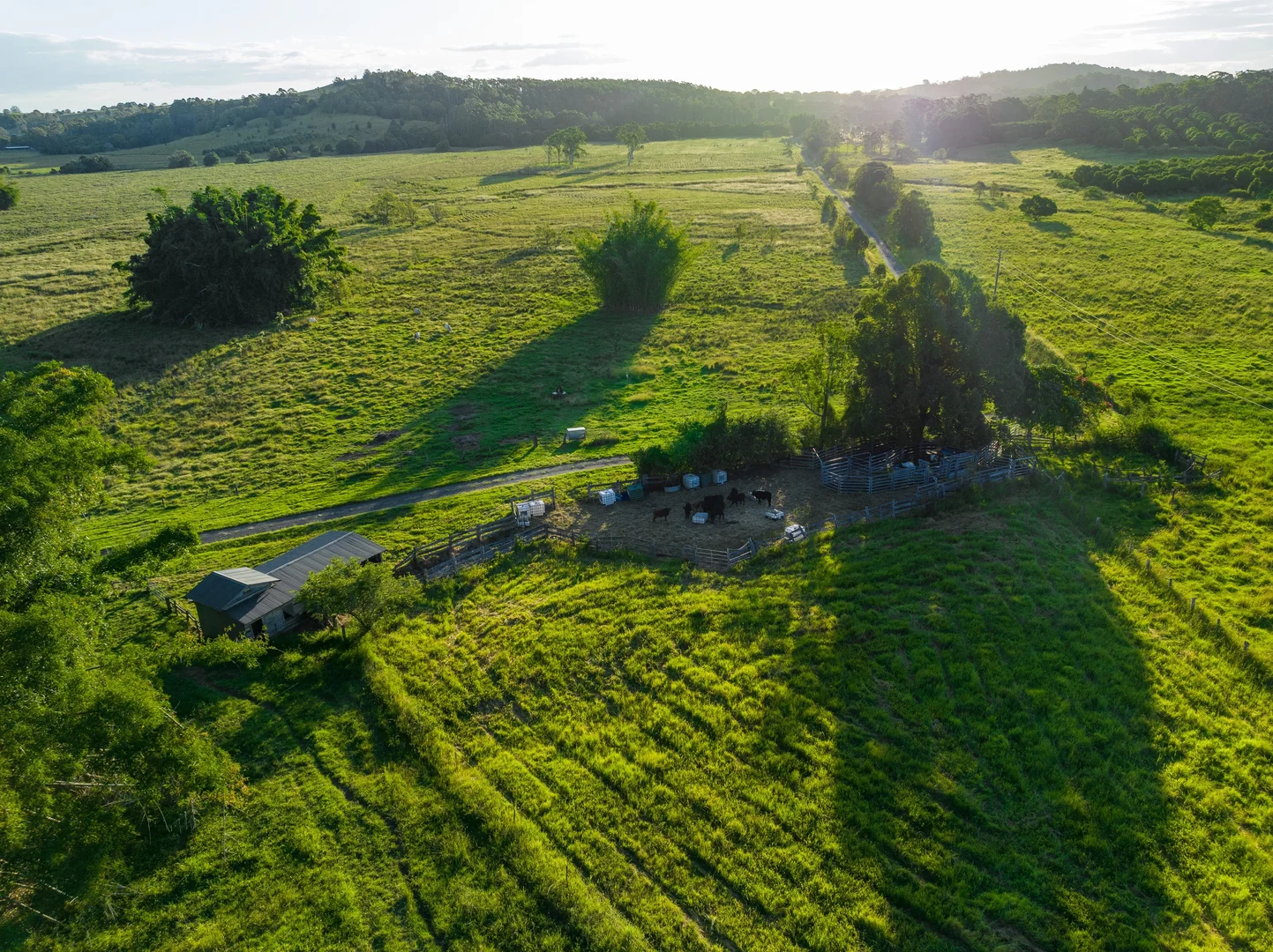 Additional image 2 of 2 Webber Road, Tregeagle NSW 2480