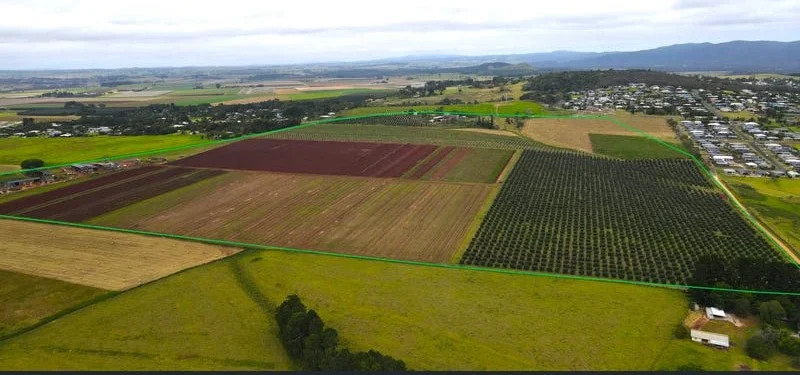 Additional image 5 of 139 Tinaroo Falls Dam Road, Atherton QLD 4883