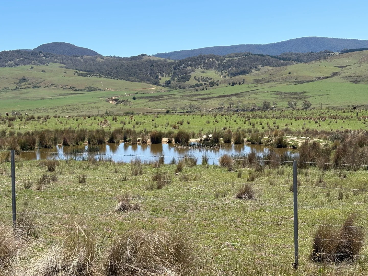 Additional image 2 of 130 Jerrabatgulla Road via Braidwood, Braidwood NSW 2622