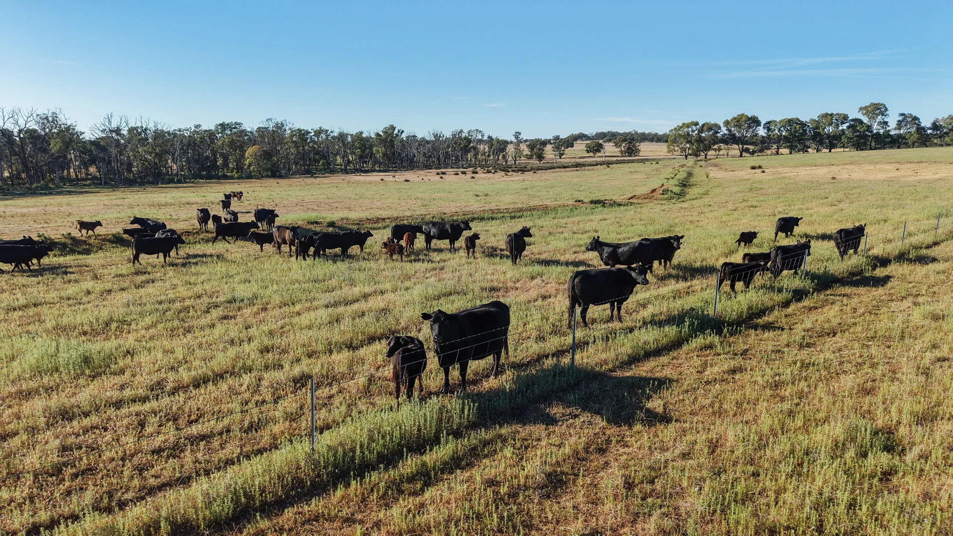 Additional image 33 of The Ranch 27R Plain Creek Road, Wongarbon NSW 2831