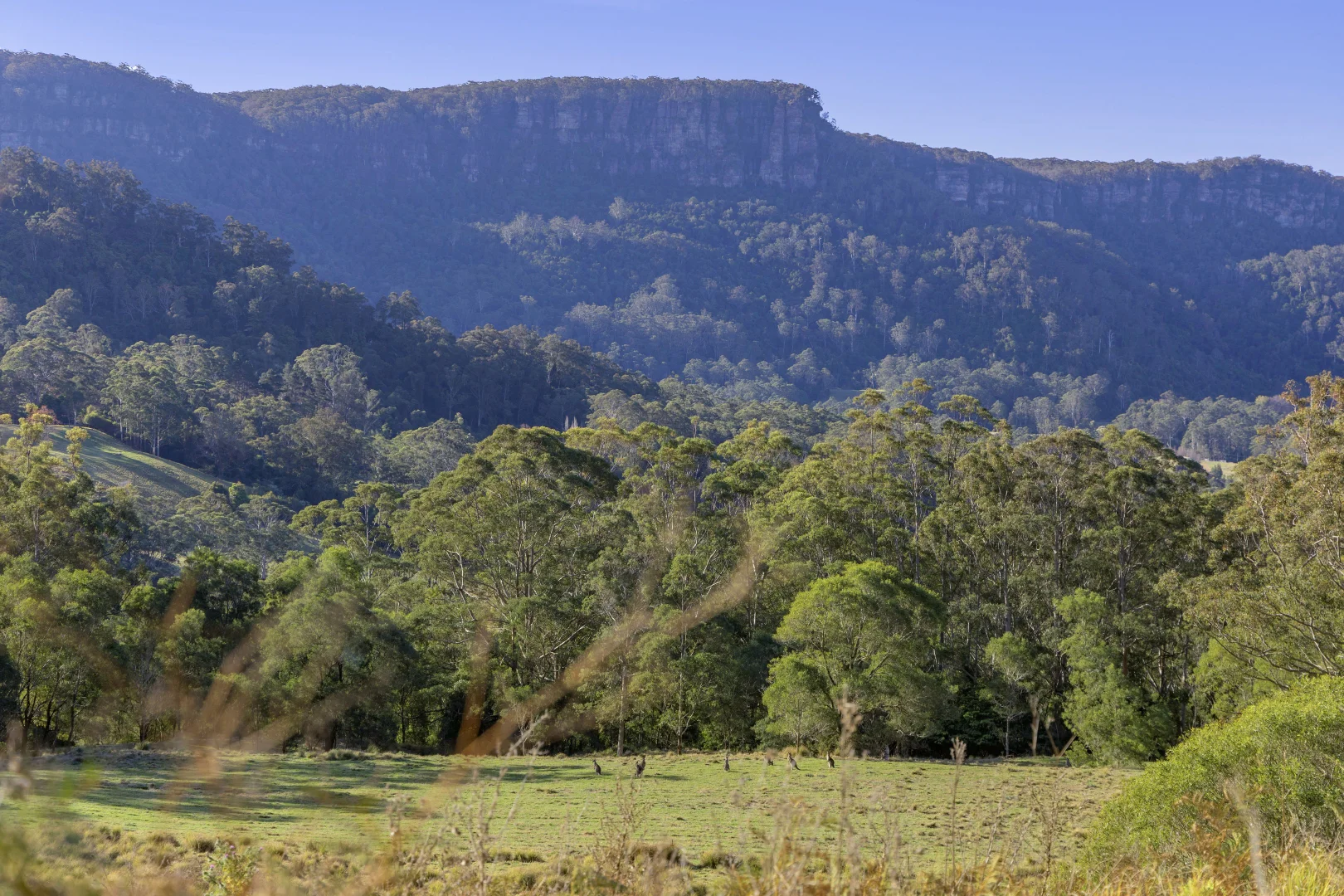 Additional image 36 of 94 Paddington Lane, Kangaroo Valley NSW 2577