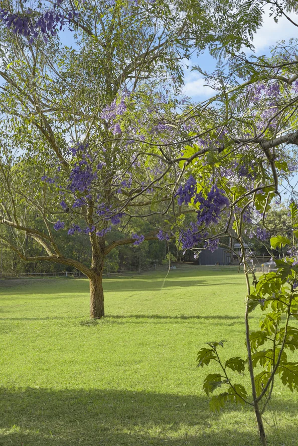 Additional image 31 of 2733 Beaudesert Nerang Road, Wonglepong QLD 4275