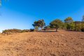 Additional image 82 of 356 E Carlisle Rd, Thousand Oaks, CA, 91361