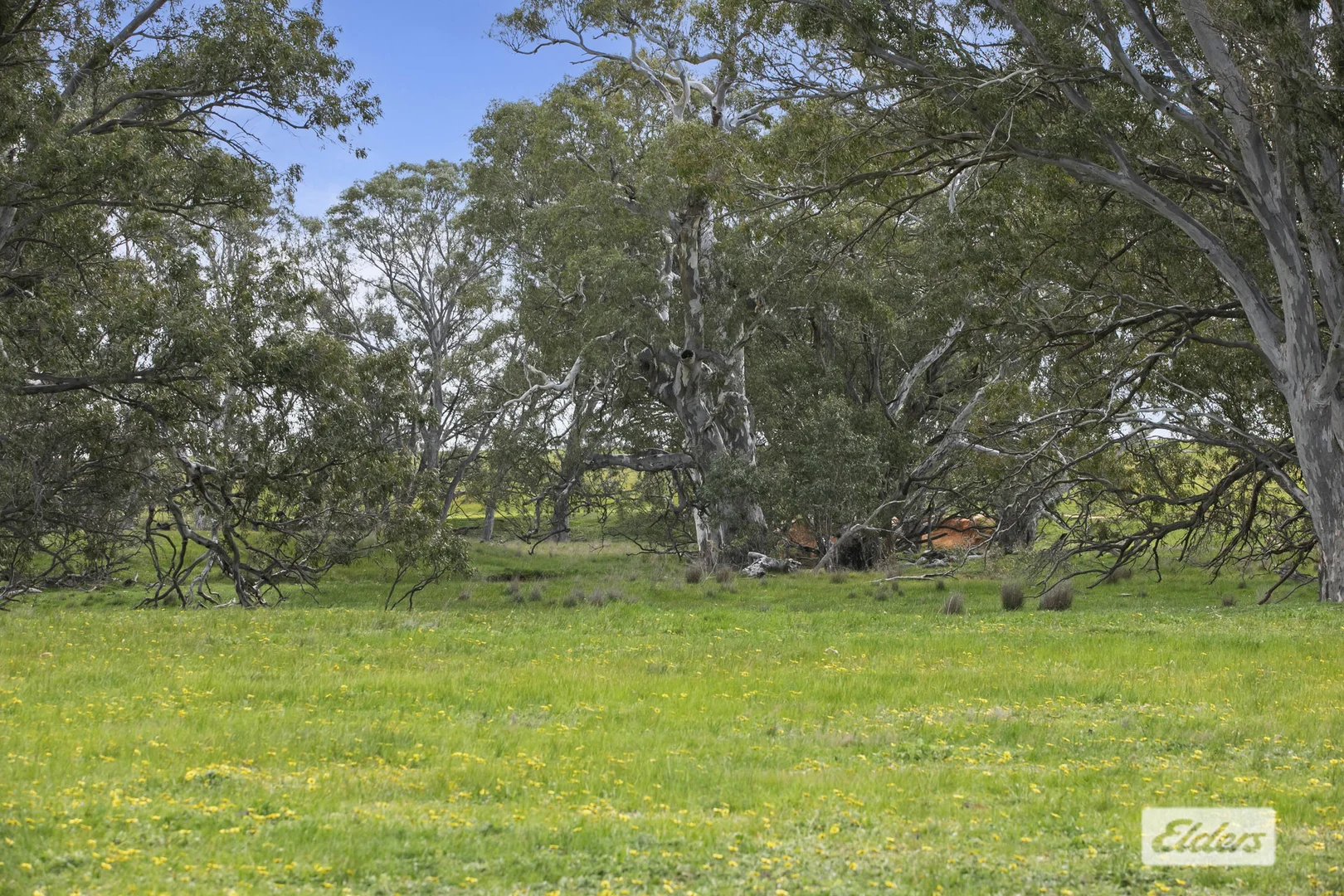 Additional image 23 of CA 18,92,9 Raeburn Road, Paradise VIC 3477