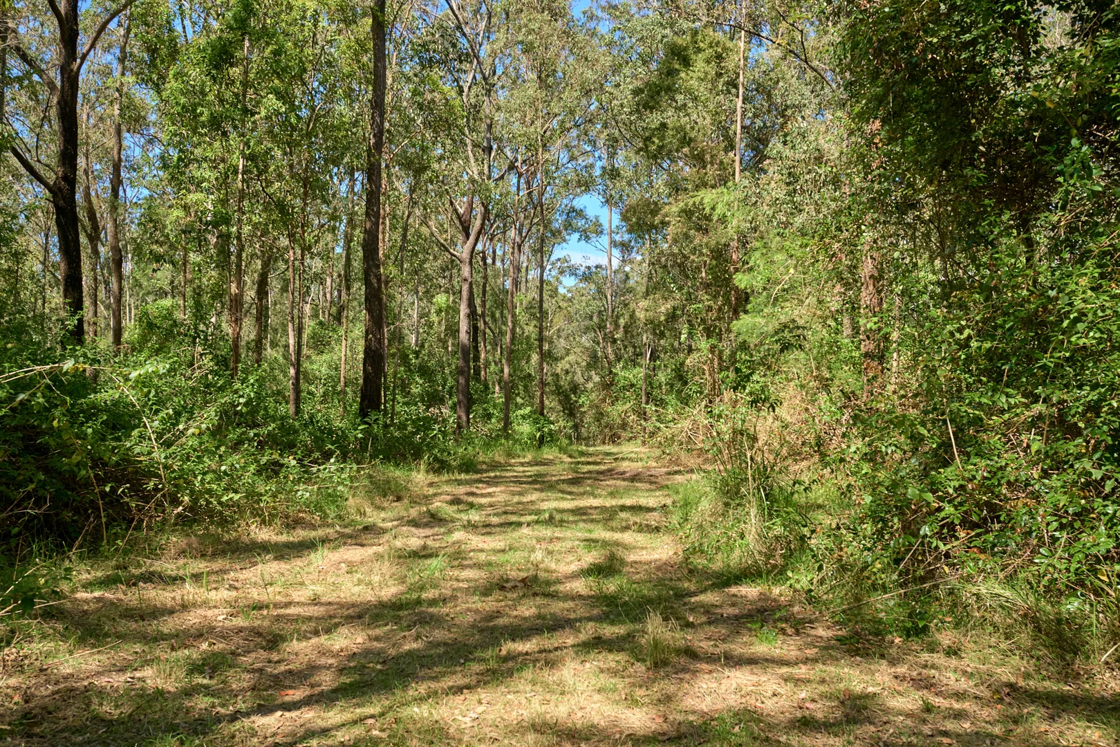 Additional image 33 of 898 Markwell Back Road, Markwell NSW 2423