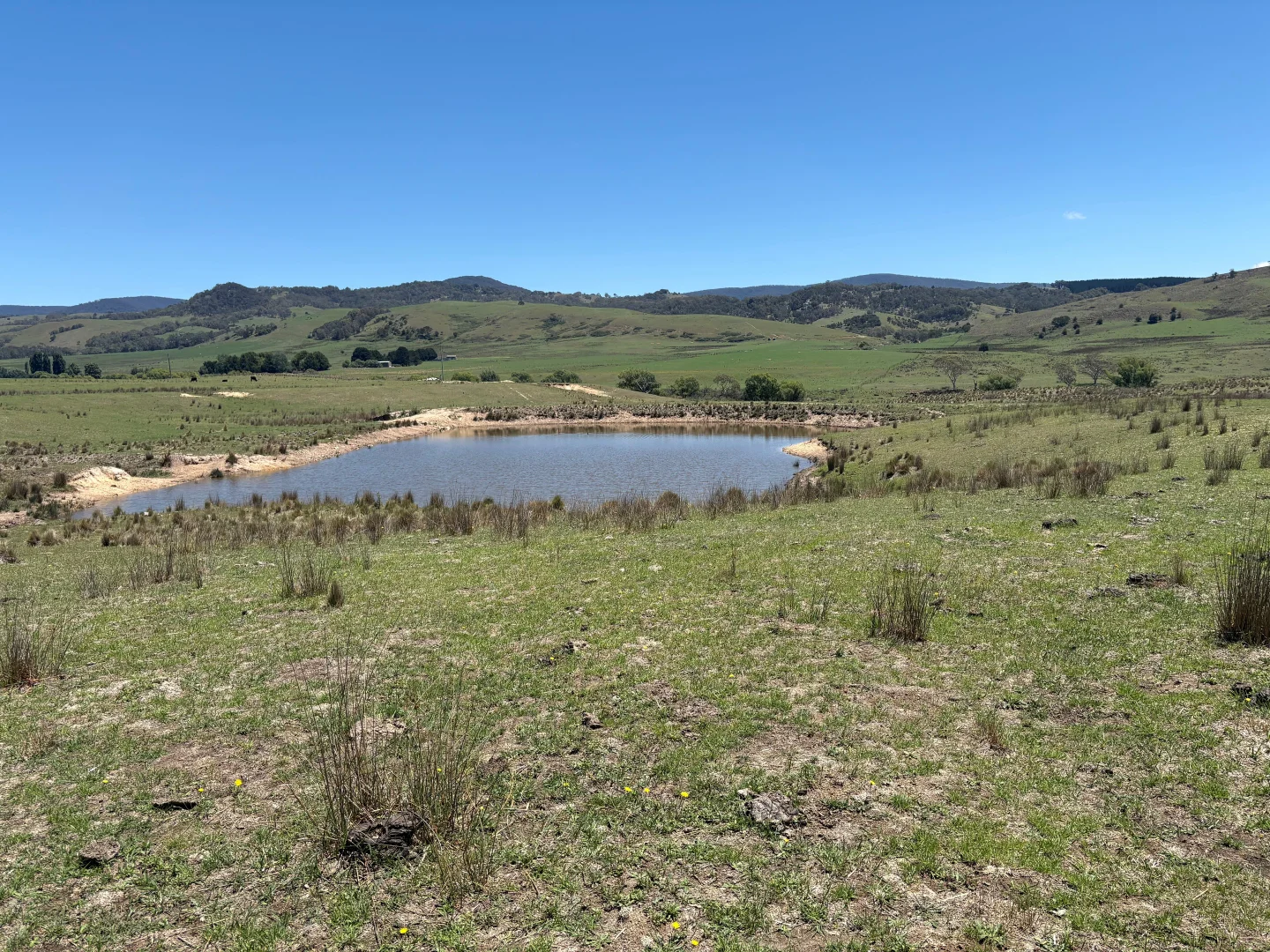 Additional image 9 of 130 Jerrabatgulla Road via Braidwood, Braidwood NSW 2622