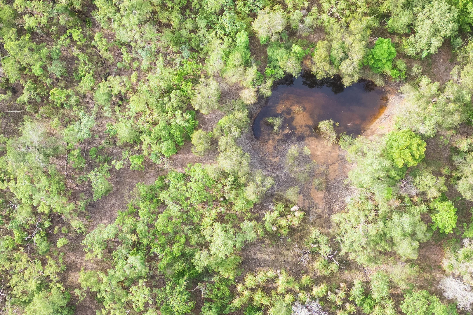 Additional image 6 of 56 Dowling Rd, Virginia NT 0834