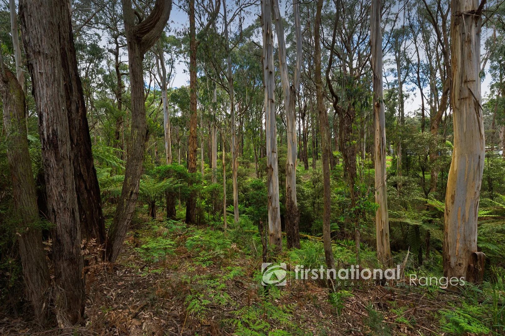 Additional image 19 of 171 Stewart Road, Emerald VIC 3782