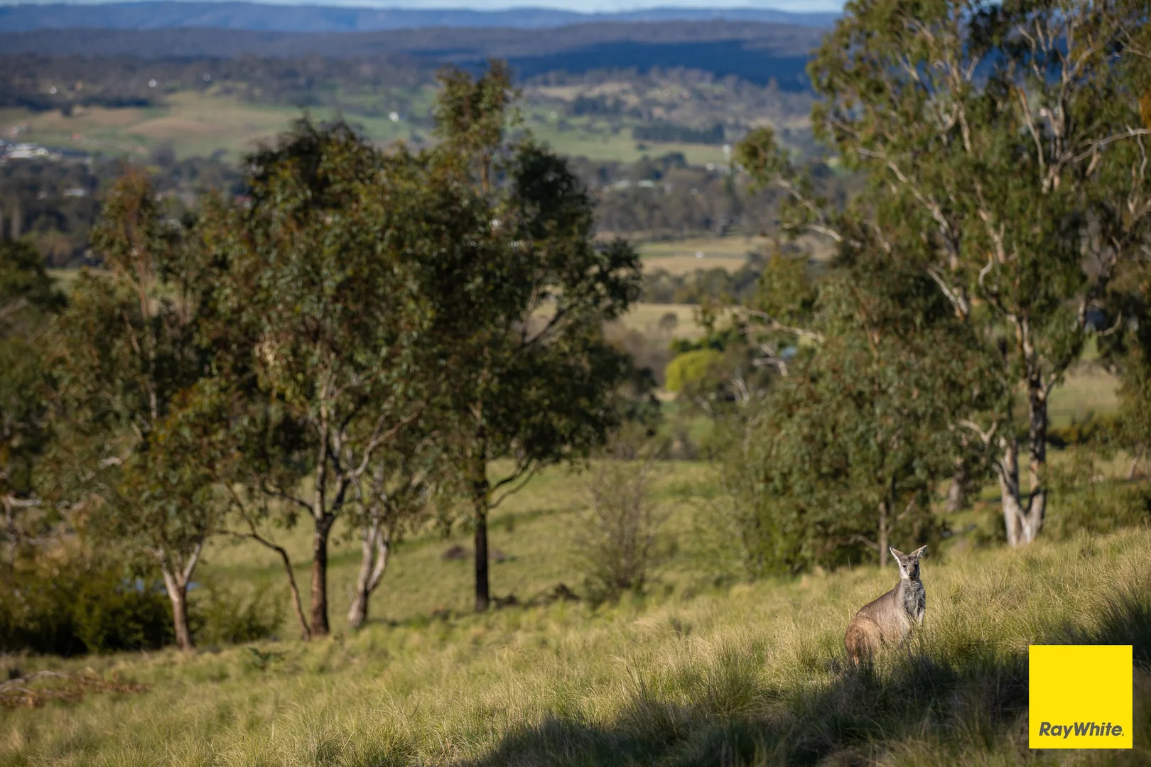 Additional image 10 of 15 Karina Close, Armidale NSW 2350