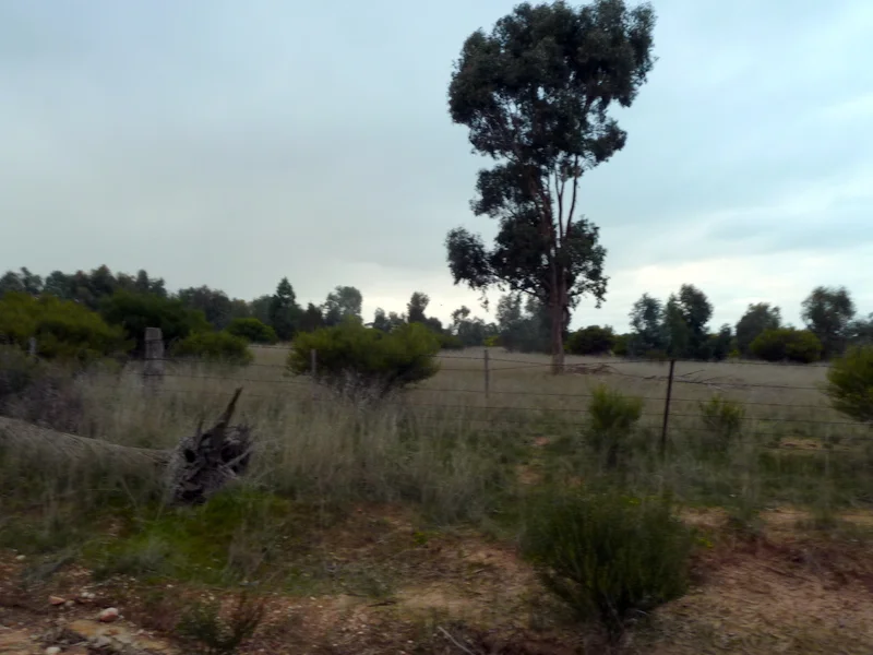 Additional image 5 of Lot 50 Wedderburn Junction East-Fiery Flat Road, Wedderburn VIC 3518