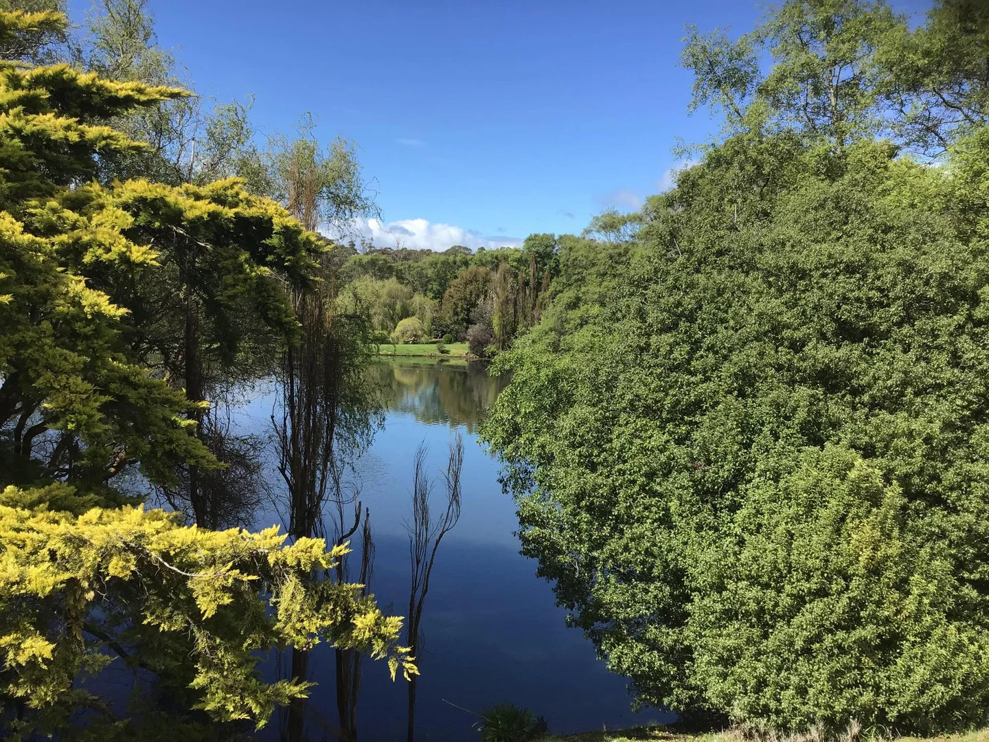 Additional image 5 of 99 King Street, Smithton TAS 7330