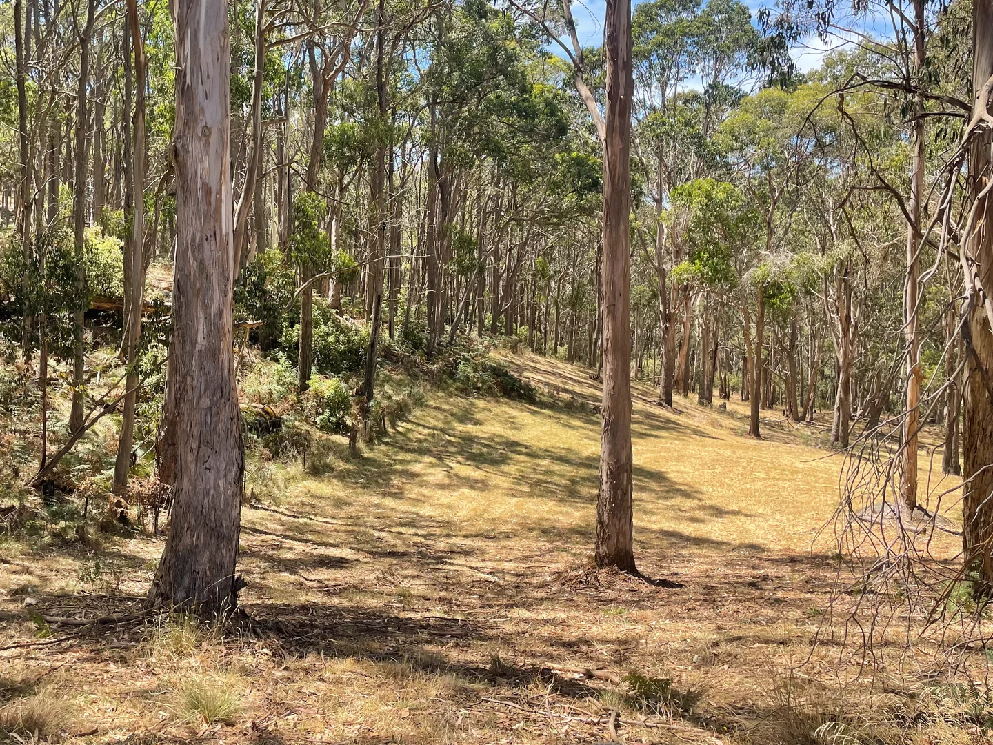 Additional image 4 of Strathbogie VIC 3666