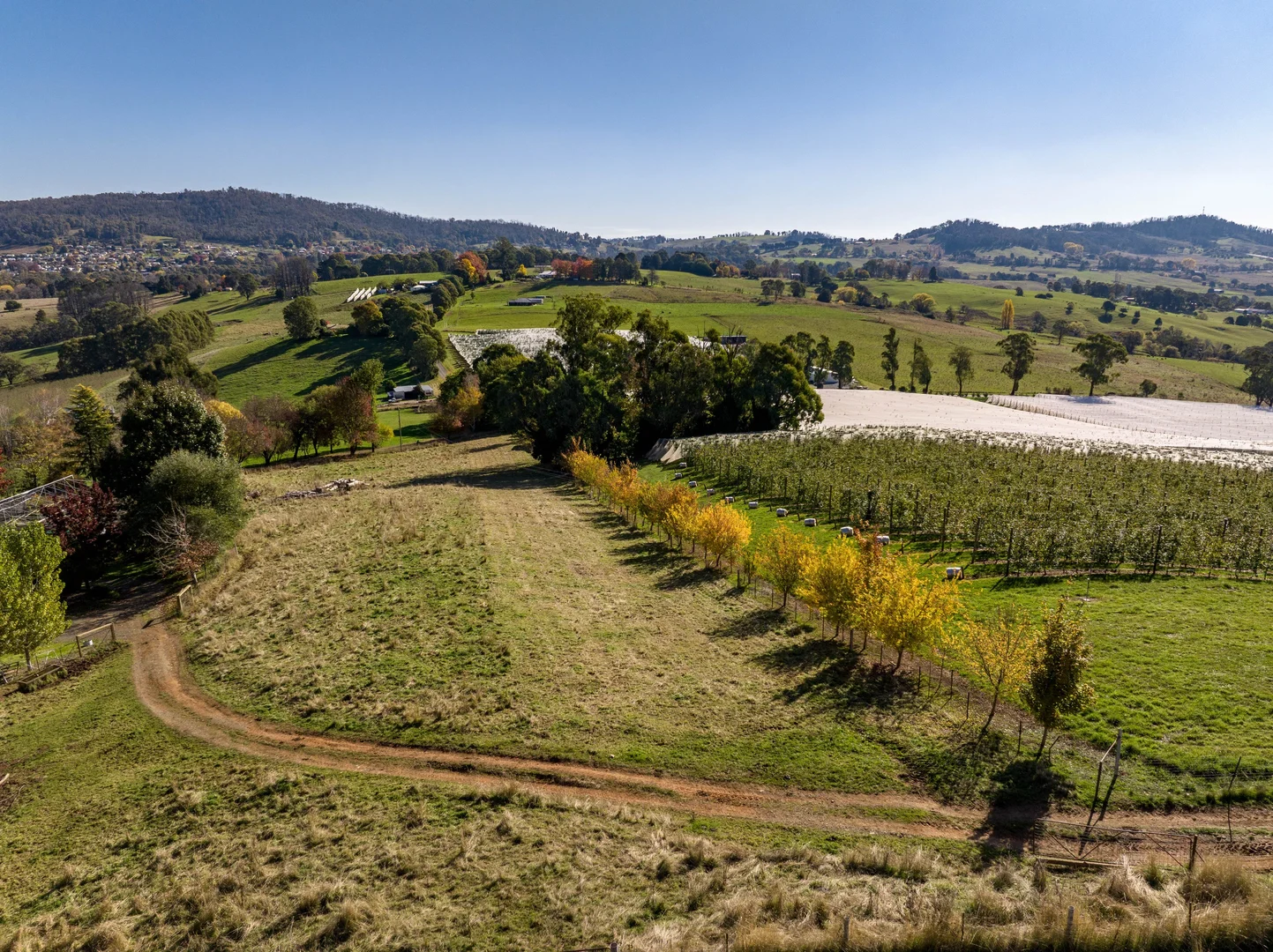 Additional image 15 of 'Gilmore Braes' 1 Forsters Road, Batlow NSW 2730