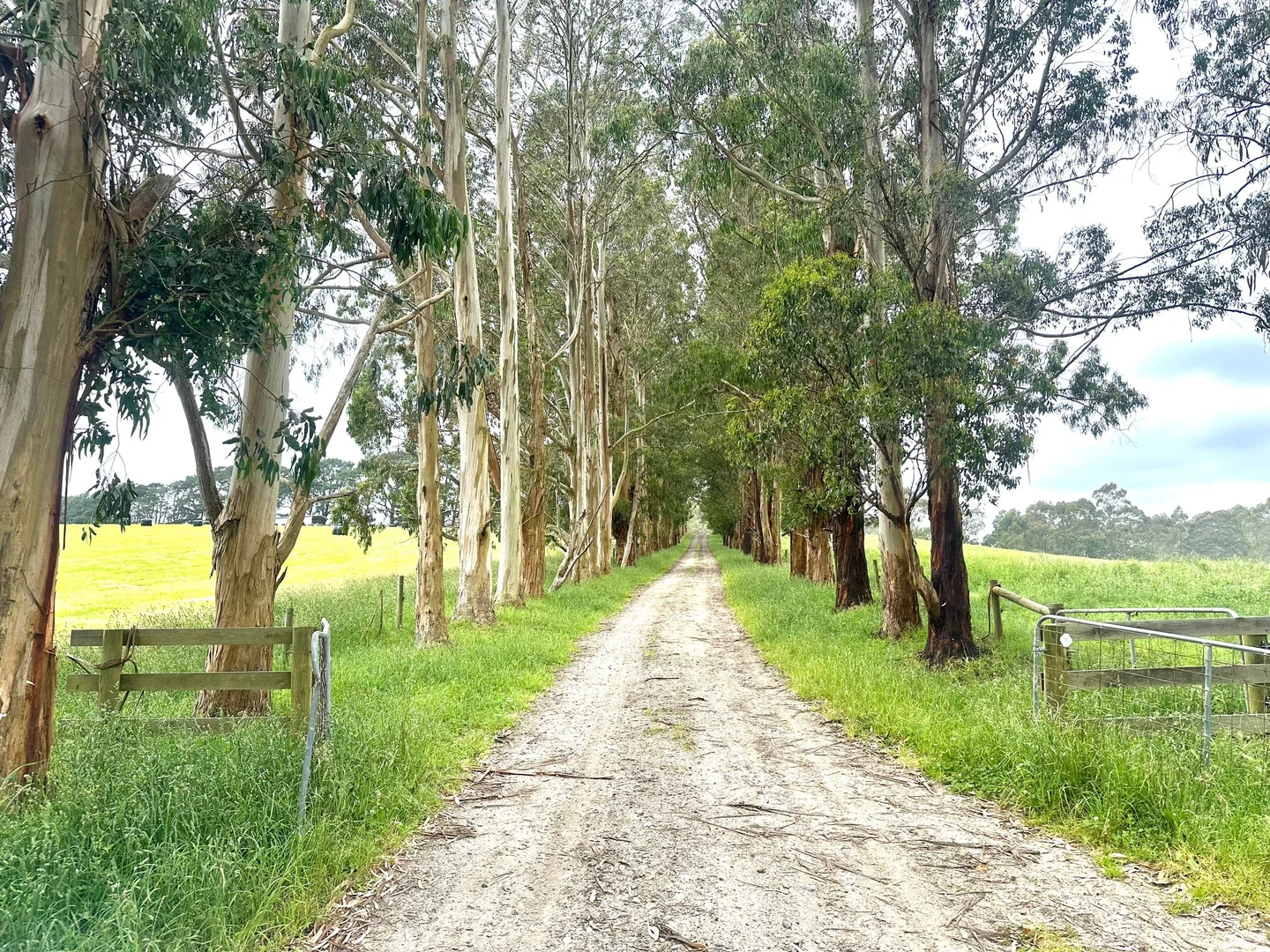 Additional image 4 of 655 Old Thorpdale Road, Mirboo North VIC 3871