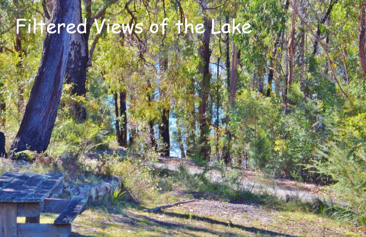 Additional image 39 of 66 Nadgee Road, Wonboyn NSW 2551