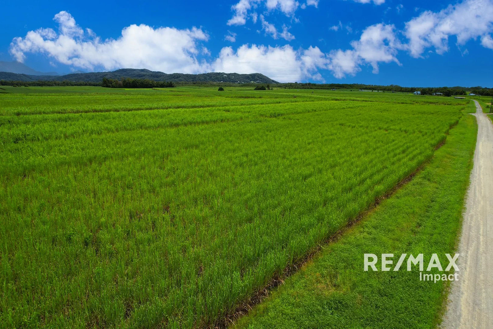 Additional image 8 of 57 BELLS ROAD, Newell QLD 4873