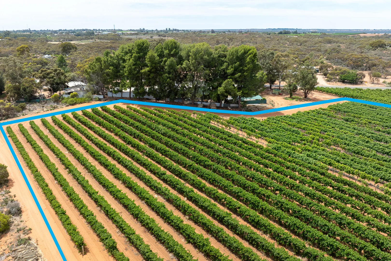 Additional image 6 of Lot 11 Battams Road, Glossop SA 5344