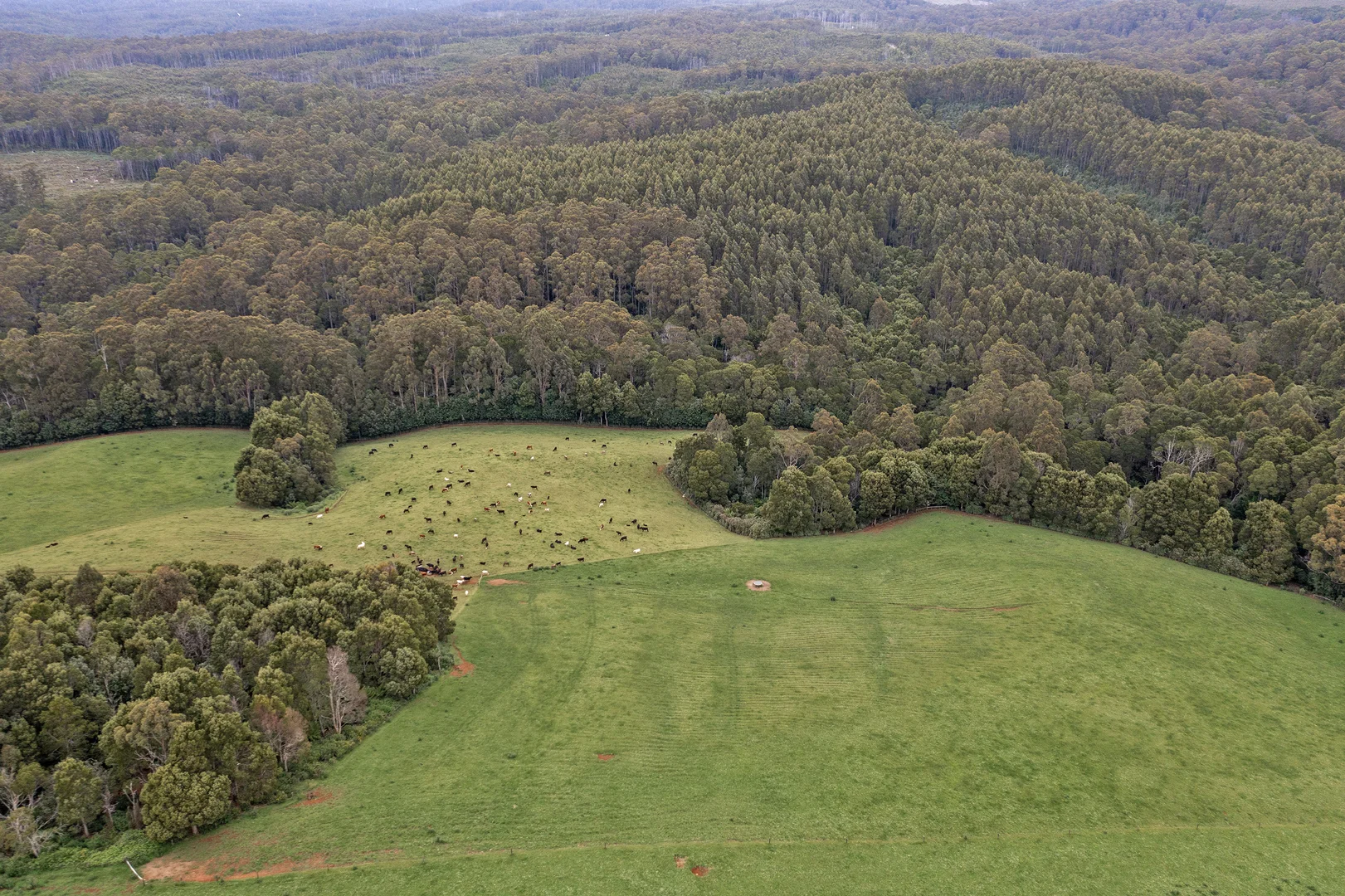 Additional image 16 of 206 Twin Creeks Road, Mengha TAS 7330