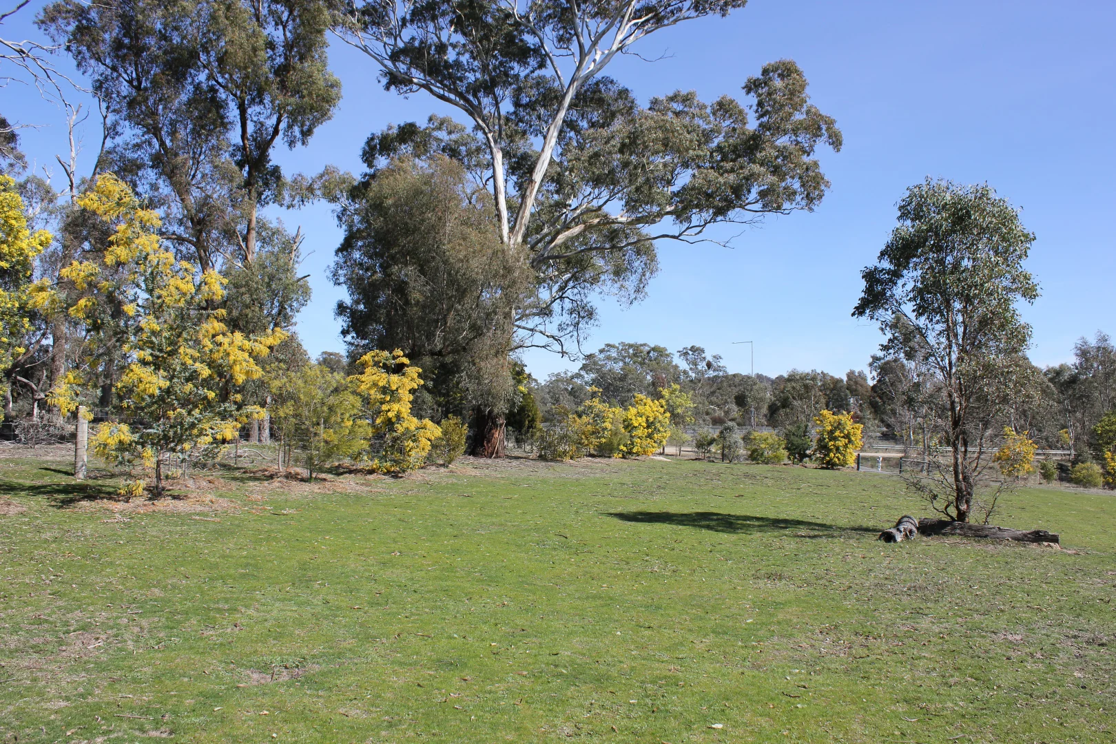 Additional image 8 of Lot 46 & 47 Pollards Road, Elphinstone VIC 3448