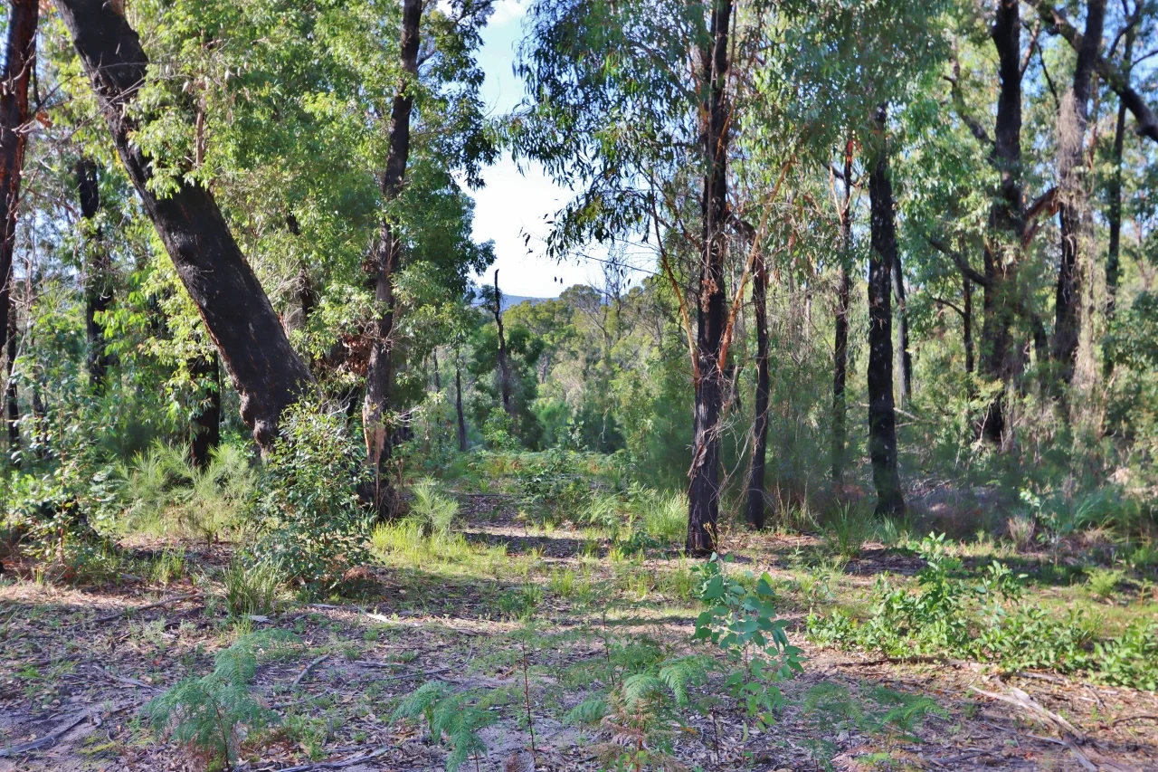 Additional image 28 of 66 Nadgee Road, Wonboyn NSW 2551