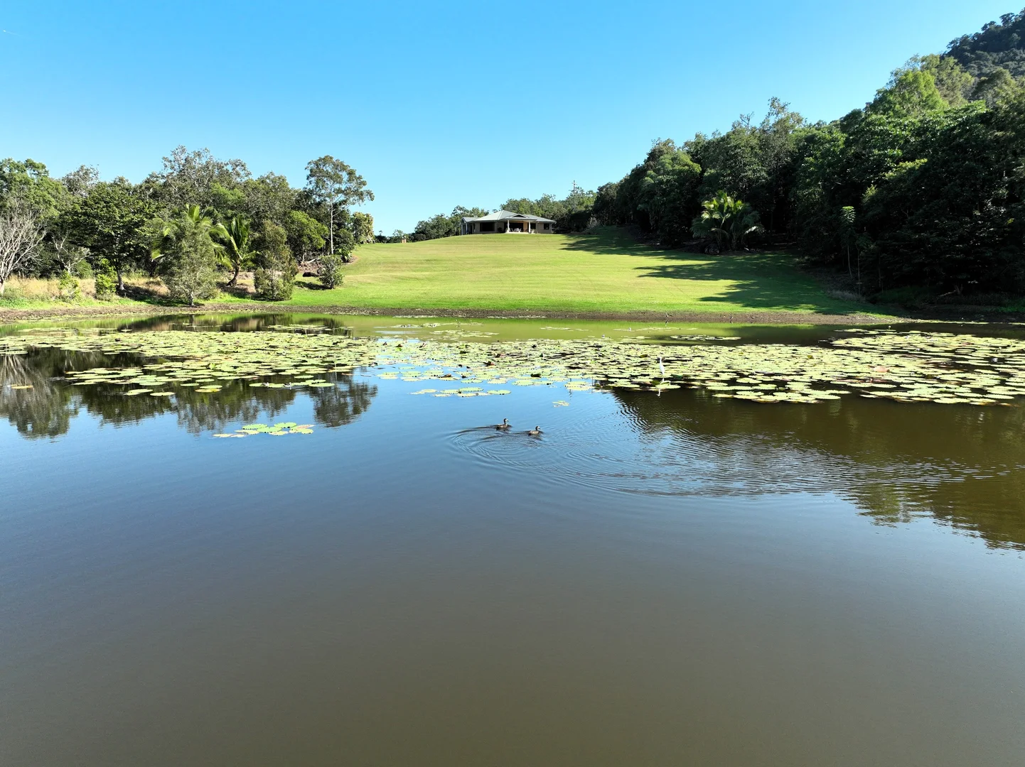Additional image 5 of 326 Devereux Creek Road, Devereux Creek QLD 4753
