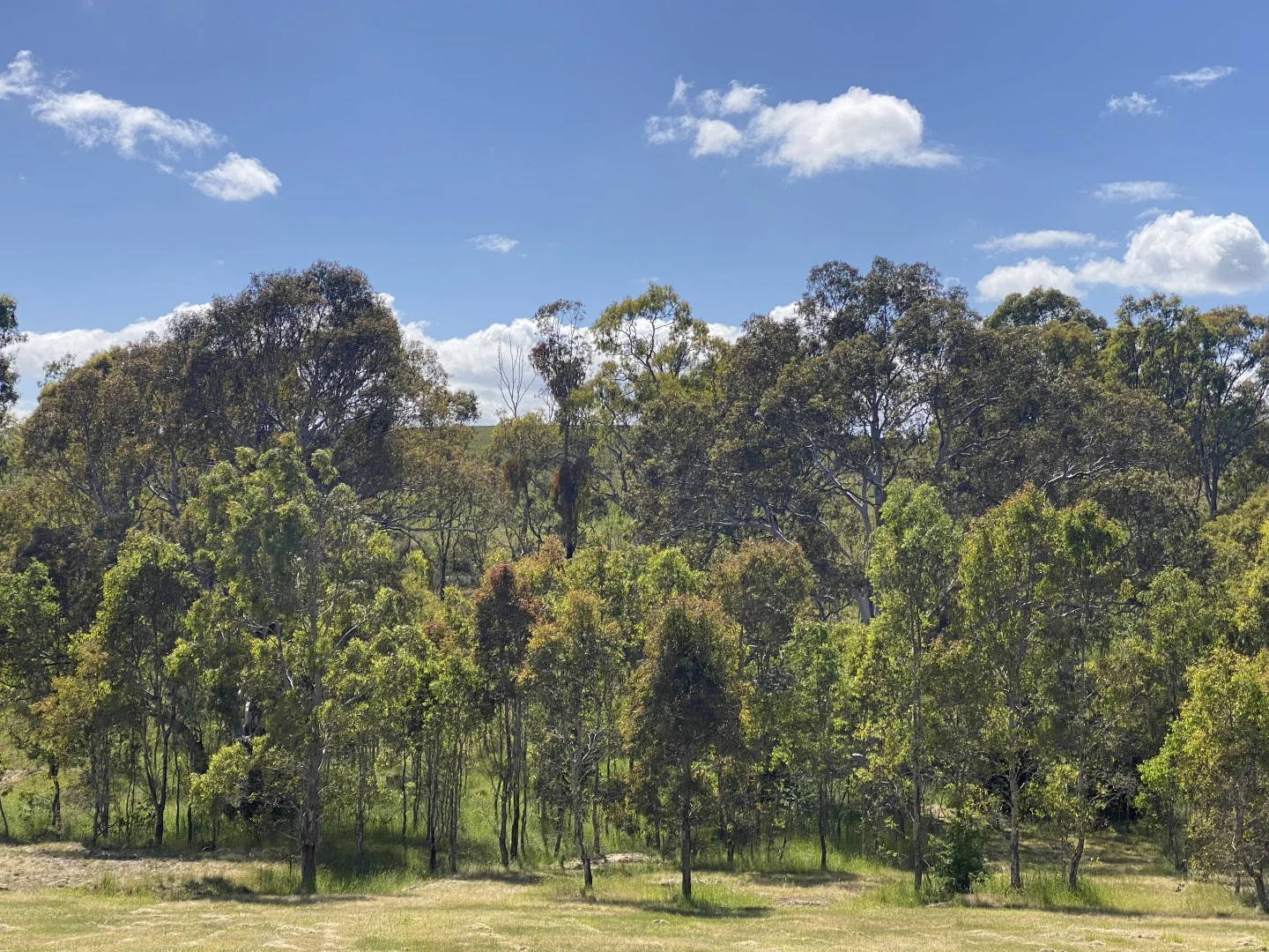 Additional image 7 of 9 Lew Ton Circuit, Alexandra VIC 3714