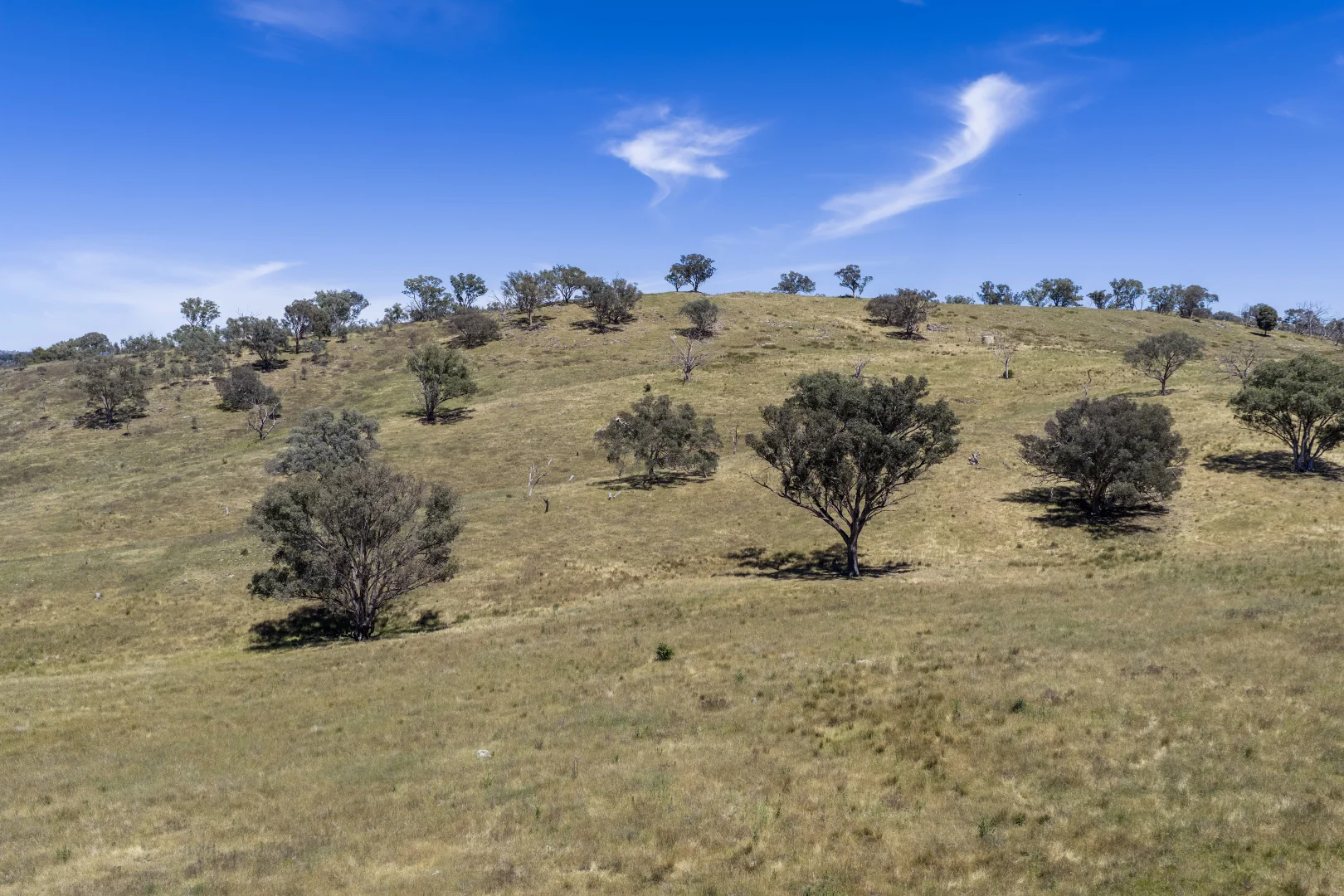 Additional image 3 of Lots 46 & 70, 499 Mebul Road, Gulgong NSW 2852