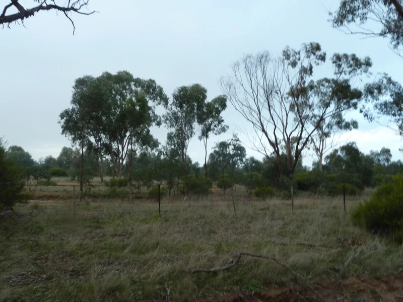 Additional image 3 of Lot 50 Wedderburn Junction East-Fiery Flat Road, Wedderburn VIC 3518