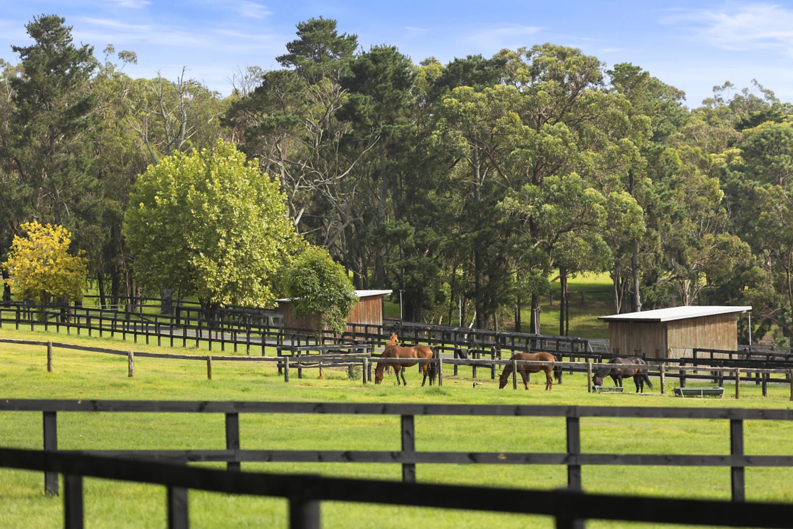 Additional image 23 of 176 Greta Road, Kulnura NSW 2250