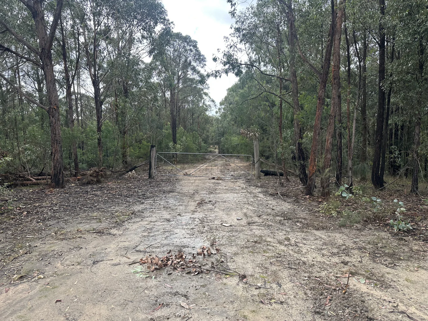 Additional image 10 of 500 Bakers Road, Putty NSW 2330