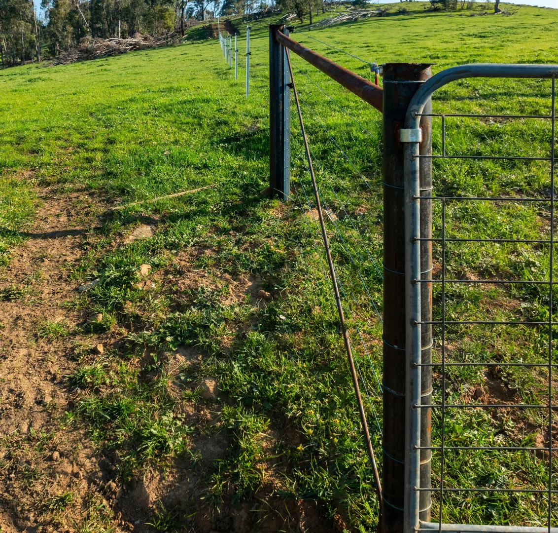 Additional image 23 of 315 Davies Road, Warrenbayne VIC 3670