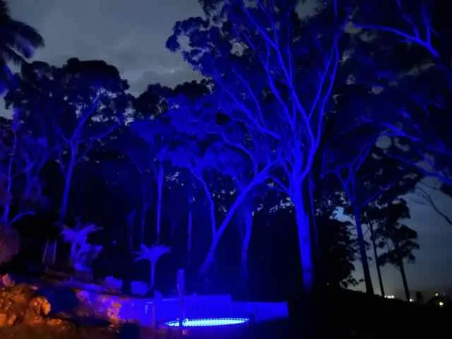 Additional image 33 of 150 Koonyum Range Road, Wilsons Creek NSW 2482