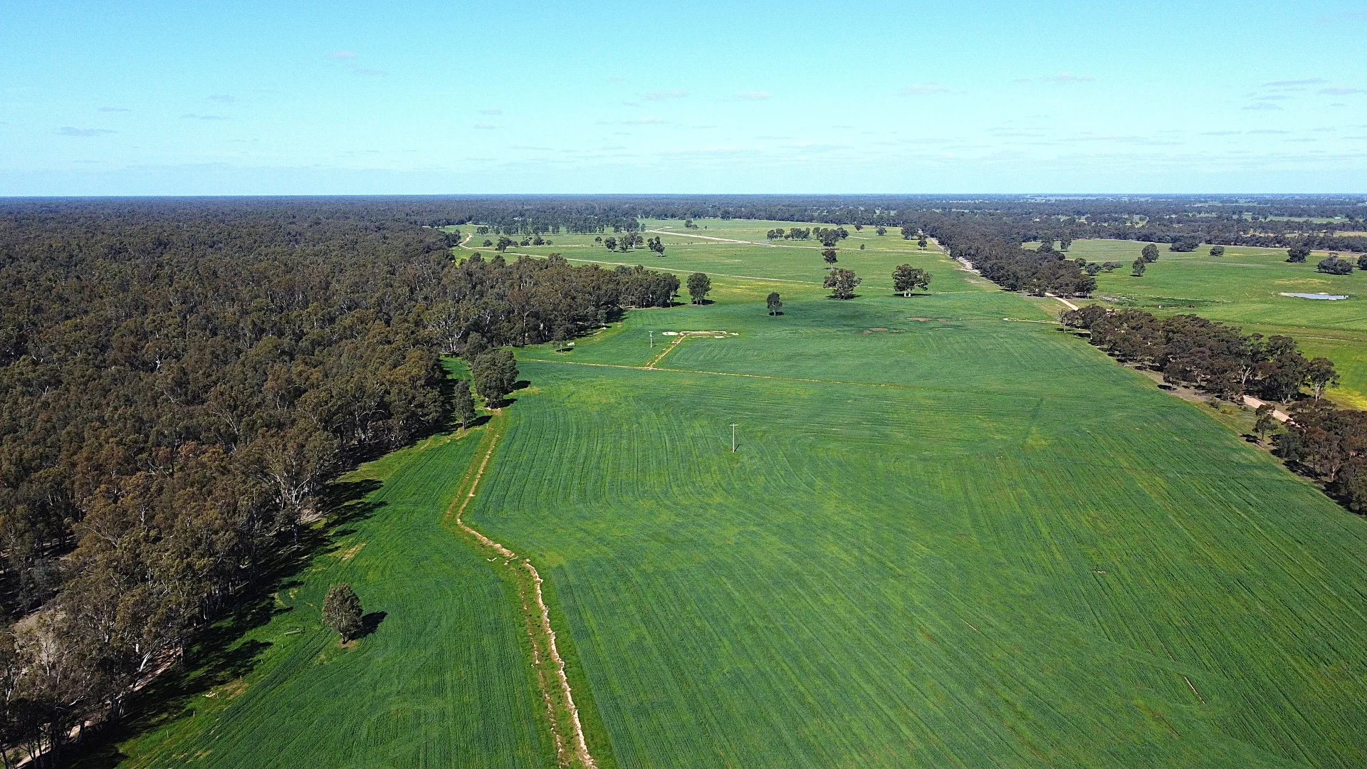 Additional image 14 of . Bangerang Road, Kanyapella VIC 3564